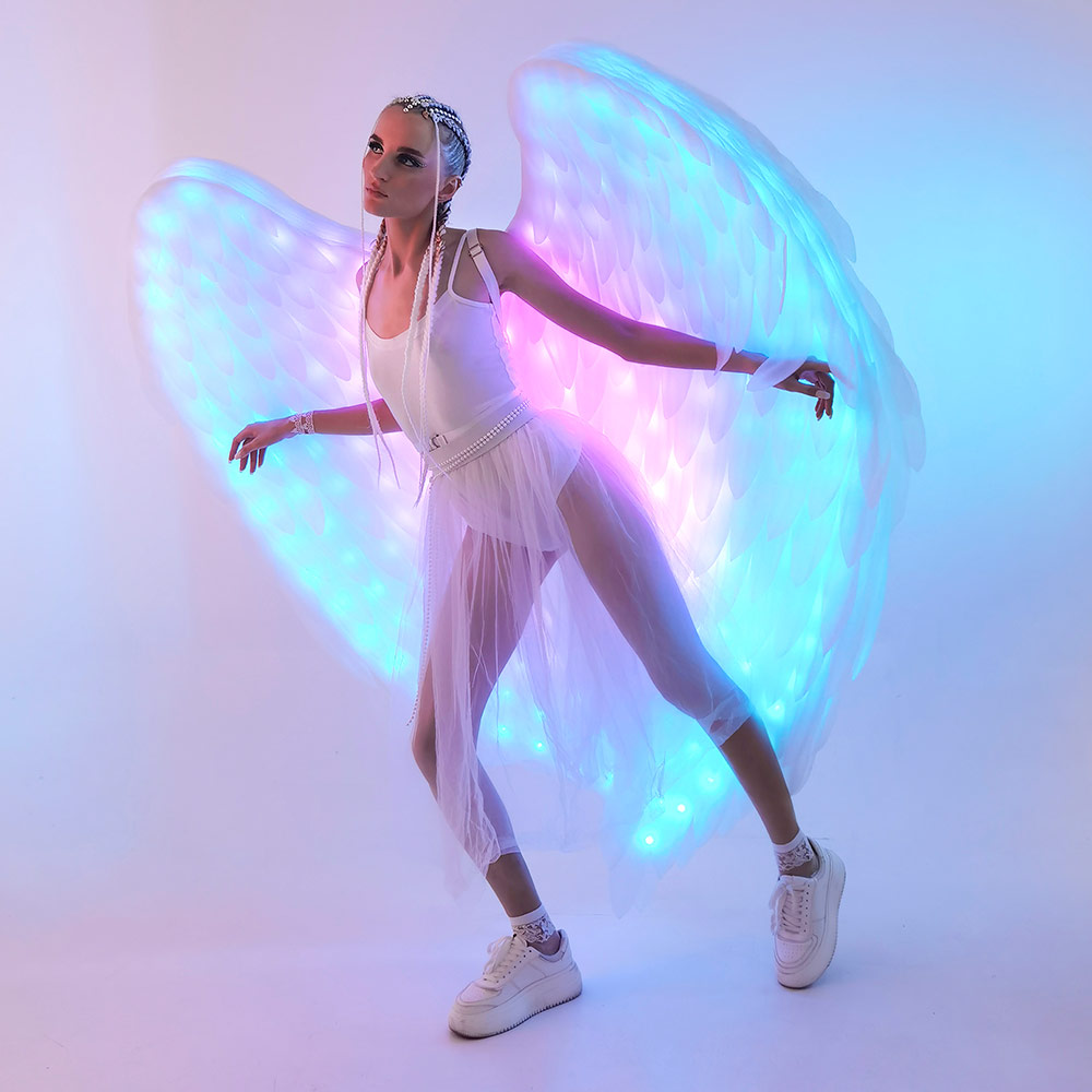 WINGS FOR A PARTY