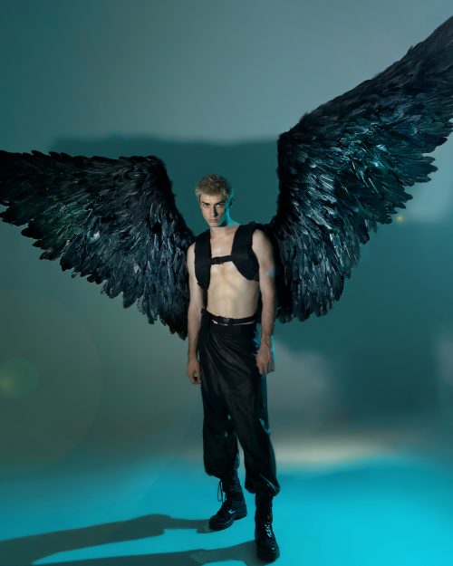 MECHANICAL WINGS